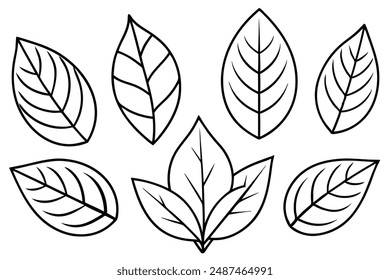 Sassafras Leaf line art capturing natural elegance with minimalist strokes