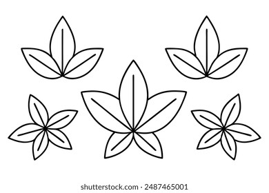 Sassafras Leaf line art capturing essence of sassafras leaves in simple lines