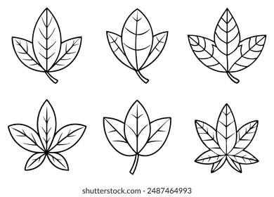 Sassafras Leaf line art detailed depiction of natural elegance in leaves