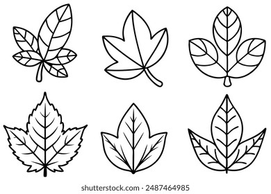 Sassafras Leaf line art highlighting charm of sassafras foliage with lines