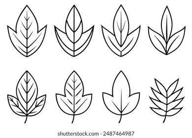 Sassafras Leaf line art showcasing detailed artistry in sassafras foliage