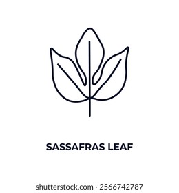 sassafras leaf outline icon. Linear vector from nature concept. Thin line sassafras leaf icon isolated on white background