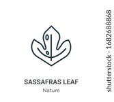 Sassafras leaf outline vector icon. Thin line black sassafras leaf icon, flat vector simple element illustration from editable nature concept isolated stroke on white background