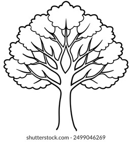 A sassafras tree line art style vector illustration.