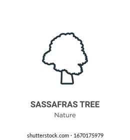 Sassafras tree outline vector icon. Thin line black sassafras tree icon, flat vector simple element illustration from editable nature concept isolated stroke on white background