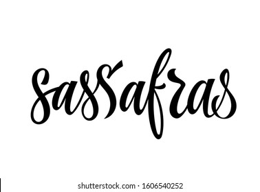 Sassafras - vector hand drawn calligraphy style lettering word. Isolated script spice text label. Labels, shop design, cafe decore etc