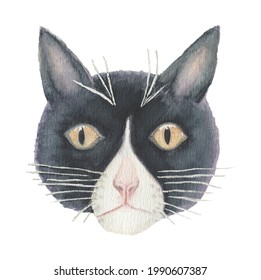 Sassy black and white cat watercolour illustration vector, face painting cute