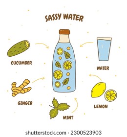 Sassy water recipe. Ingredients for the detox drink. Lemon and cucumber, ginger and mint leaves. Healthy cool drink, vitamin refreshing water. Colorful vector isolated illustration hand drawn doodle