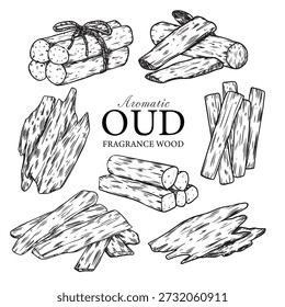 Sat of hand drawn aromatic oud fragrance woods outline drawing vector illustration