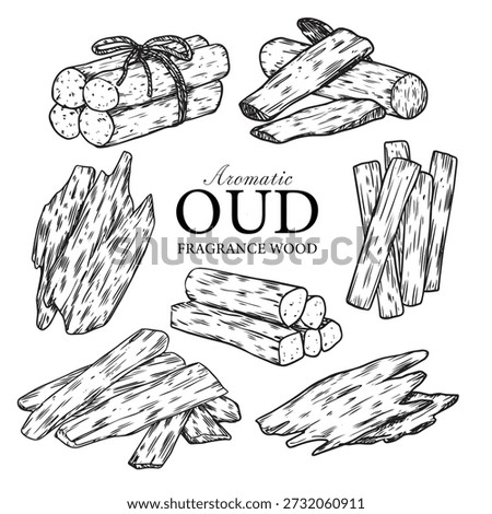 Sat of hand drawn aromatic oud fragrance woods outline drawing vector illustration