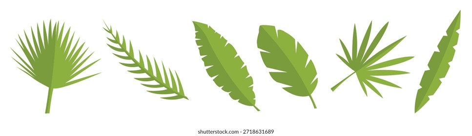 sat of leaf vectors illustration
