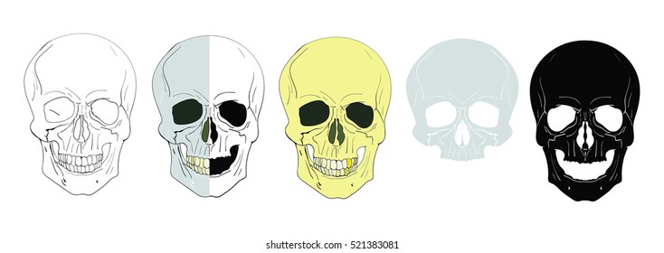 Sat of vector skulls