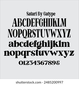 Satari Display is a fancy, bold font with multilingual support. This is a very versatile font that works well in both large and small sizes.