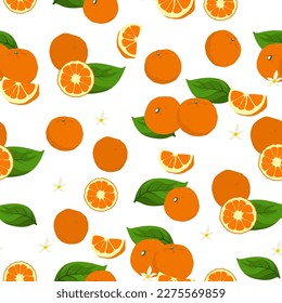 Satsuma seamless pattern background, vector illustration.