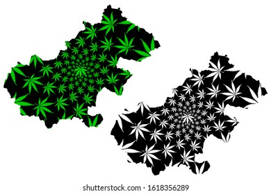 Satu Mare County (Administrative divisions of Romania, Nord-Vest development region) map is designed cannabis leaf green and black, Satu Mare map made of marijuana (marihuana,THC) foliage