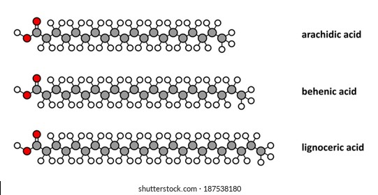 Saturated fatty acids: arachidic, behenic and lignoceric acid. Long chain saturated fatty acids. Stylized 2D renderings.