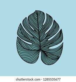 
saturated green colors on a sheet of monstera on a blue background