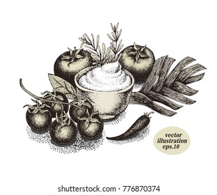 Sauce in bowl and tomatoes, leek, chilli. Hand drawn vector illustration. Vintage