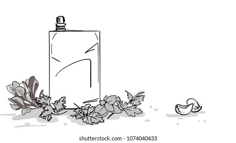 Sauce, fresh greens and garlic cloves on a white background. Black and white vector sketch. Simple drawing.
