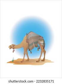 The Saudi Arabian Kuwaiti Emirati camel