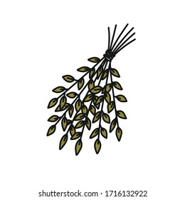 sauna broom doodle icon, vector illustration