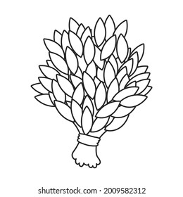 Sauna broom vector icon.Outline vector icon isolated on white background sauna broom.