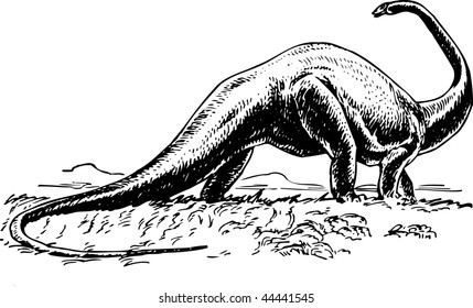 Sauropod Dinosaur