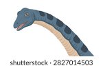 Sauropod head turned with long neck on white background.