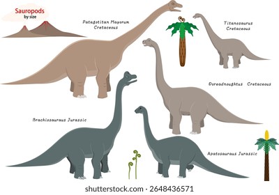 Saurópodes. Dinossauros gigantes por tamanho.