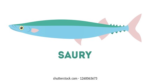 Saury fish atlantic creature. Idea of fishing and seafood. Marine animal in wildlife. Flat vector illustration