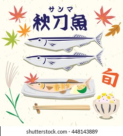  Saury vector Illustration.