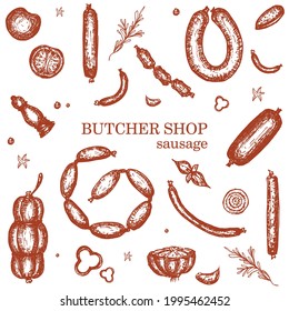 Sausage, butcher shop. Set of vector icons, hand graphics. Types of sausages: salami, boiled, bacon, smoked.