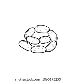 Sausage chain hand drawn outline doodle icon. Vector sketch illustration of sausage chain for print, web, mobile and infographics isolated on white background.