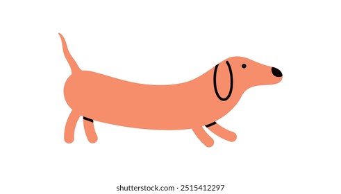 Sausage cão, animal canino, língua para fora, bonito engraçado raça dachshund, longo passeio de cachorro, adorável cão de salsicha salsicha wiener andando sobre fundo branco ilustração vetor plana.