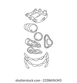 sausage hand drawn doodle illustrations vector set