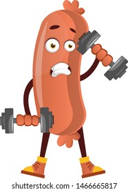 Pesas de elevación de salchicha, ilustración, vector sobre fondo blanco.