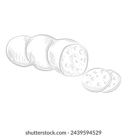 Sausage with pieces of lard cut into slices, line sketch salami or ham roll cutting, meat food product vector illustration