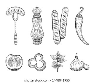 Sausage & spices engraved sketch icon set. Sausage on fork, pepper mill, bratwurst, chilli pepper, tomato, paprika, oregano, garlic. Ink outline food vector illustration isolated on white background.
