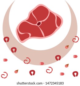 Sausage, steak, whole leg, fresh meat. Image for farm shop concept. Vector background.