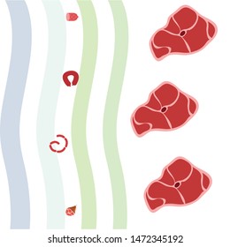 Sausage, steak, whole leg, fresh meat. Image for farm shop concept. Vector background.