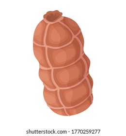 Sausage vector icon.Cartoon vector icon isolated on white background sausage.