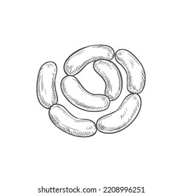 Sausages Chain Isolated Bunch Of Meat Food. Vector Pork Or Beef Frankfurter Sausage