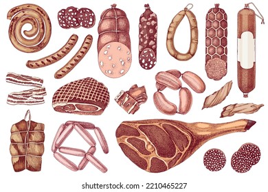 Sausages and meat products vector set.