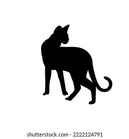 Savanah Cat Silhouette for Art Illustration, Logo, Pictogram, Website or Graphic Design Element. Vector Illustration
