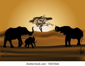 savanna illustration with elephants at sunset