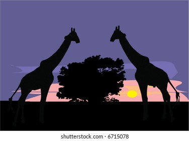 savanna illustration with giraffe and sunset