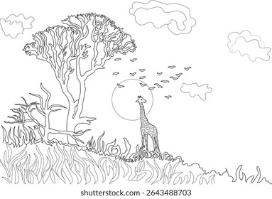 Savanna Landscape with Giraffe and Birds Line Art, Black and white line drawing of a savanna landscape featuring a giraffe, acacia tree, flying birds, and the sun. Minimalist vector illustration