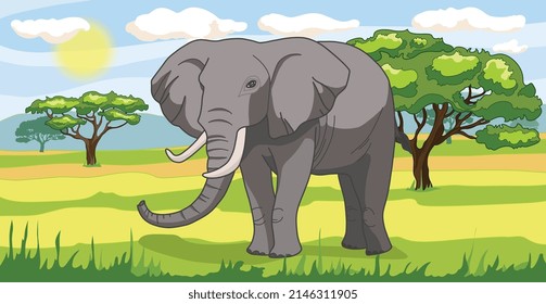 Savanna landscape Nature park, tropical safari with a elephant, green trees 