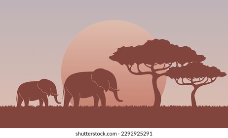savanna landscape at the sunset. trees and elephant silhouettes 