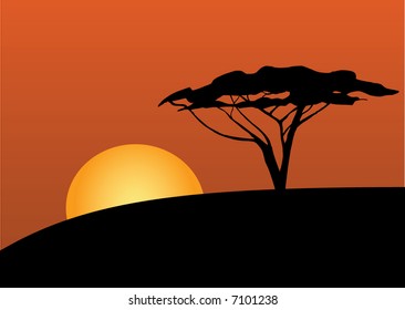 Savanna in the sunset